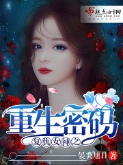 《复仇女神之重生密码》
