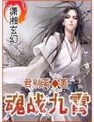 《魂战九霄》