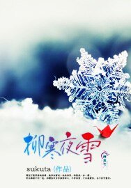 《柳寒夜雪》