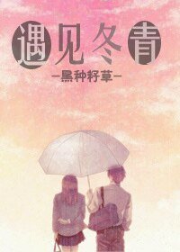 《遇見冬青》
