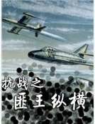 《抗戰之匪王縱橫》