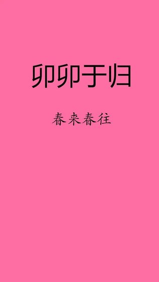 《卯卯于归》