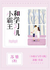《小霸王和学习机》