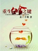 重生沙金之鍵