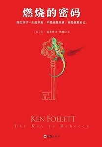 《燃燒的密碼(出書版)》