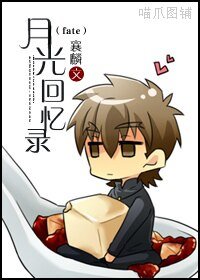 《(fate同人)月光回忆录》