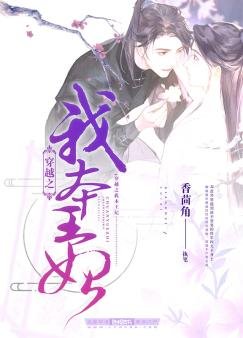 《穿越之我本王妃》