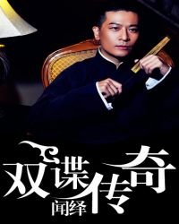《双谍传奇》