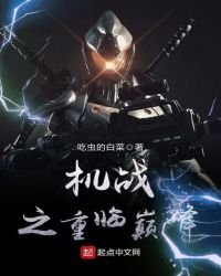 《机战之重临巅峰》