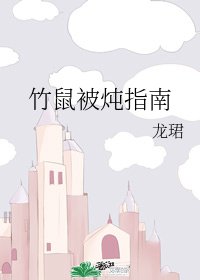 《竹鼠被燉指南》