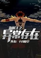 《海贼王之异常存在》