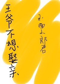《王爷不想娶亲》