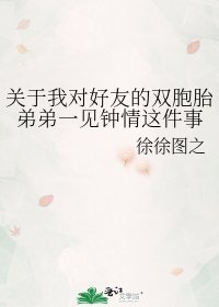 《关于我对好友的双胞胎弟弟一见钟情这件事》