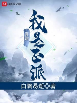《我真的是正派》