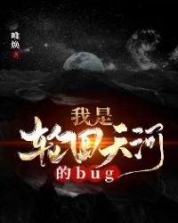 《我是輪迴天河的bug》