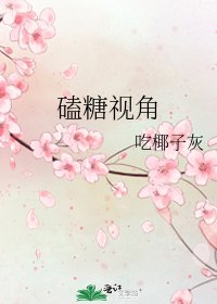 磕糖視角
