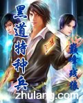 《黑道特种兵》