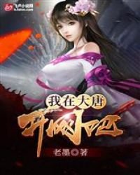 我在大唐开网吧