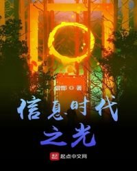 《信息时代之光》