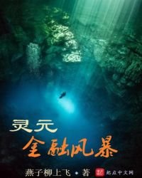 《灵元金融风暴》