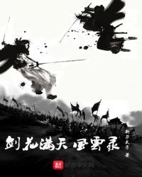 《劍花滿天風雲錄》