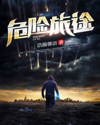 《危險旅途》