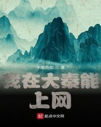 《我在大秦能上网》