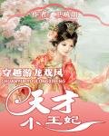《穿越游龍戲鳳:天才小王妃》