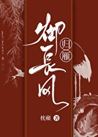 《归雁御长风》