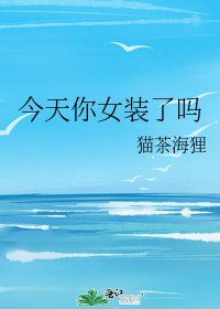 《今天你女装了吗》