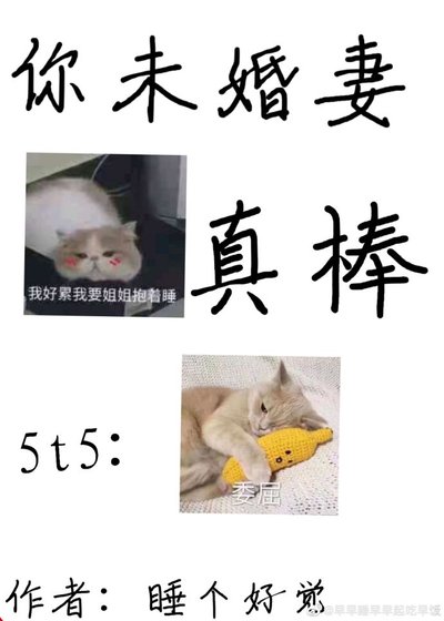 《(综漫同人)你未婚妻真棒》