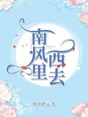 《南风里西去》