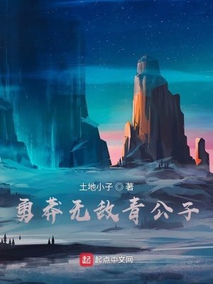 《勇莽无敌青公子》