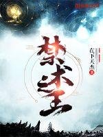 《禁術之王》
