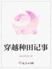 《穿越种田记事》