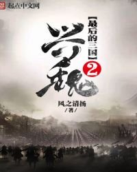 《最後的三國2:興魏》