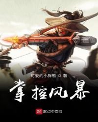 《掌控風暴》