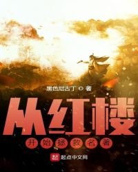《从红楼开始拯救名著》