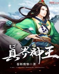 《真界神王》
