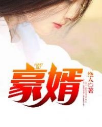 《豪婿》