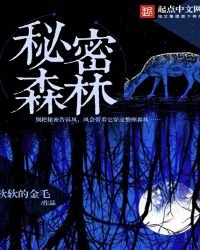 《秘密的森林》