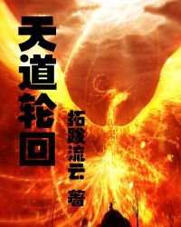 《天道轮回》