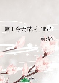 《宸王今天謀反了嗎?》