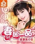 《妻居一品》