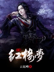 《穿越红楼梦》