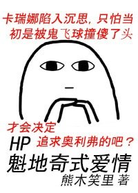 《(BG/HP同人)HP魁地奇式爱情》