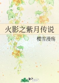 火影之紫月传说