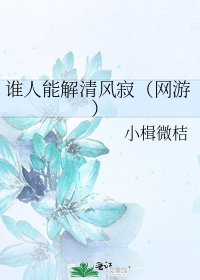 《誰人能解清風寂(網遊)》
