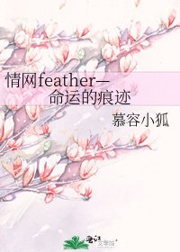 情网feather—命运的痕迹