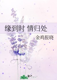 《缘到时 情归处》